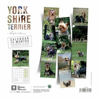 Calendrier 2025 Chien Yorkshire terrier