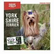 Calendrier Mural 2025 Chien Yorkshire terrier