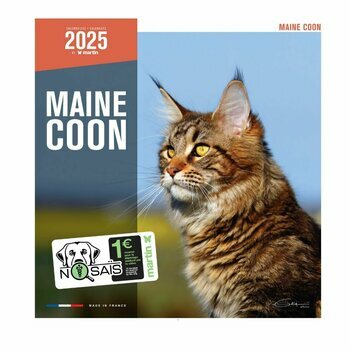 Calendrier 2025 Chat Maine Coon