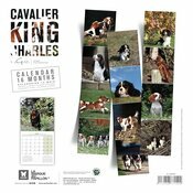 Calendrier ckc 2025 Chien Cavalier King Charles