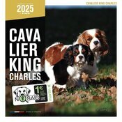 Calendrier Mural 2025 Chien Cavalier King Charles