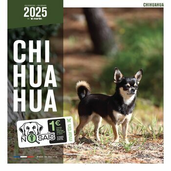 Calendrier 2025 Chien Chihuahua