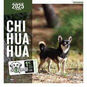 Calendrier 2025 Chien Chihuahua tous poils