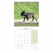 Calendrier 2025 Chien Bouledogue Franais