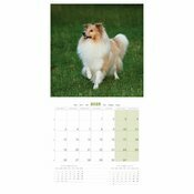 Calendrier 2025 Chien Shetland