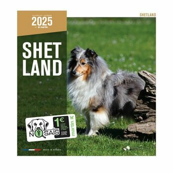 Calendrier 2025 Chien Shetland