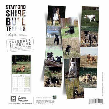 Calendrier 2025 Chien Staffordshire Bull Terrier