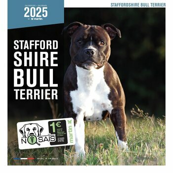 Calendrier 2025 Chien Staffordshire Bull Terrier