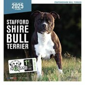 Calendrier 2025 Staffie Chien Staffordshire Bull Terrier