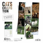 Calendrier Chatons 2025 Chats Jardins