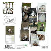 Calendrier Bb 2025 Chatons Jardins