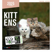 Calendrier Mural  2025 Chatons Jardins