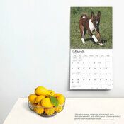 Calendrier Dcoration 2025 Chien Race Basenji