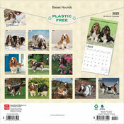 Calendrier 2025 Basset Hound