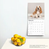 Calendrier 2025 Chien Race Basset Hound