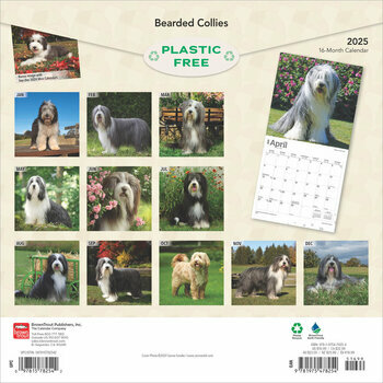 Calendrier 2025 Chien Race Bearded Collie