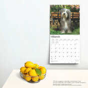 Calendrier 2025 Chien Race Bearded Collie