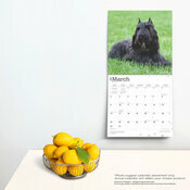 Calendrier Dco 2025 Chien Race Bouvier des Flandres