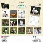 Calendrier 2025 Bull terrier