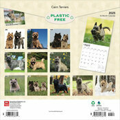 Calendrier 2025 Cairn Terrier