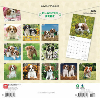 Calendrier 2025 Chien Race Cavalier King Charles Chiots