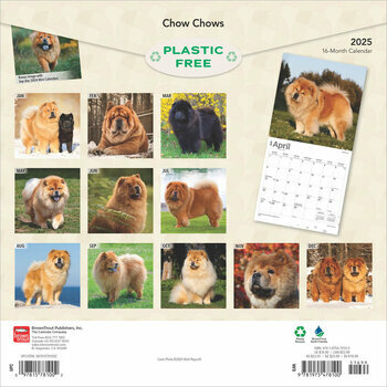 Calendrier 2025 Chien Race Chow Chow