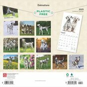 Calendrier 2025 Dalmatien