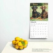 Calendrier Dco 2025 Chien Race Doberman Oreilles Coupes