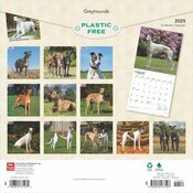 Calendrier 2025 Lvrier Greyhound