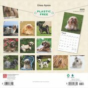 Calendrier Mural 2025 Chien Race Lhassa Apso