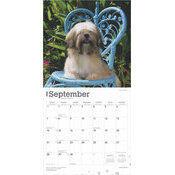 Calendrier 2025 Chien Race Lhassa Apso