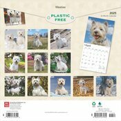 Calendrier 2025 West Highland White Terrier