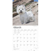 Calendrier 2025 Chien Race West Highland White Terrier