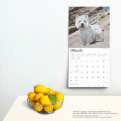 Calendrier Dco 2025 Chien Race West Highland White Terrier