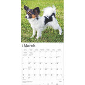 Calendrier 2025 Chien Race Epagneul Papillon