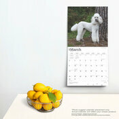 Calendrier 2025 Caniche