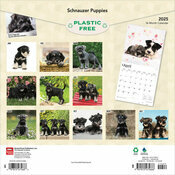 Calendrier 2025 Schnauzer Chiots