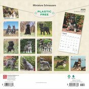 Calendrier 2025 Schnauzer Nain