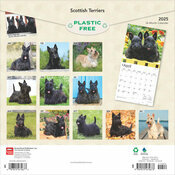 Calendrier 2025 Scottish Terrier