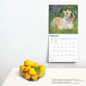 Calendrier Deco 2025 Chien Race Scottish Terrier