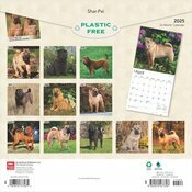 Calendrier 2025 Shar Pei 