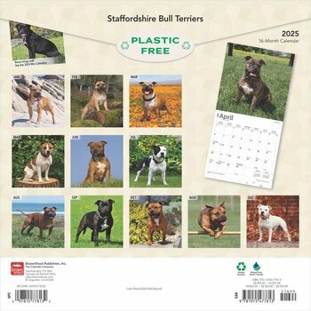 Calendrier 2025 Chien Race Staffordshire Bull terrier