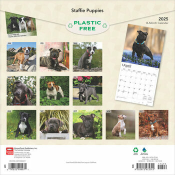 Calendrier 2025 Chien Race Staffordshire Bull terrier Chiots