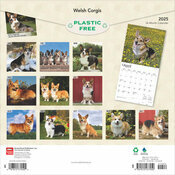 Calendrier 2025 Corgi Welsh Corgis