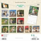 Calendrier 2025 Welsh Corgis Pembroke