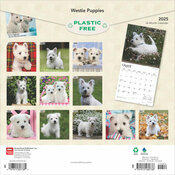 Calendrier 2025  West Highland White Terrier Chiots