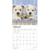 Calendrier 2025 Chien Race West Highland White Terrier Chiots