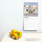 Calendrier Deco 2025 Chien Race West Highland White Terrier Chiots
