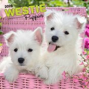 Calendrier Mural 2025 Chien Race West Highland White Terrier Chiots