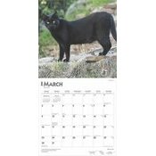 Calendrier 2025 Chats Noirs 